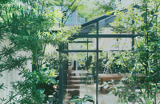浪漫小夫妻打造清新居 翠竹环绕的玻璃房美如梦